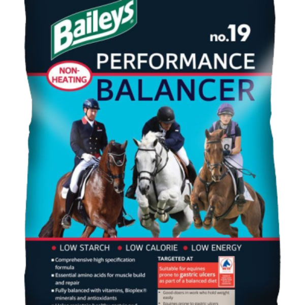 Baileys No19 Performance Balancer